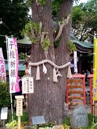 川越八幡宮の自然