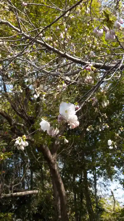 向日神社(京都府)