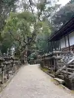 夫婦大國社(春日大社末社)(奈良県)