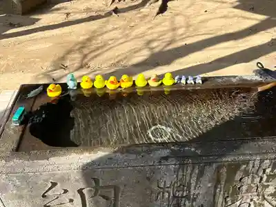 柏諏訪神社(千葉県)