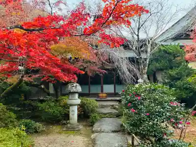 瑞巌寺(徳島県)