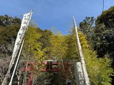 來宮神社(静岡県)