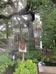 秩父神社(埼玉県)