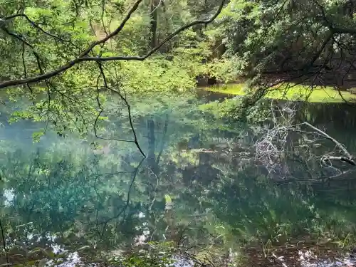 丸池神社(山形県)