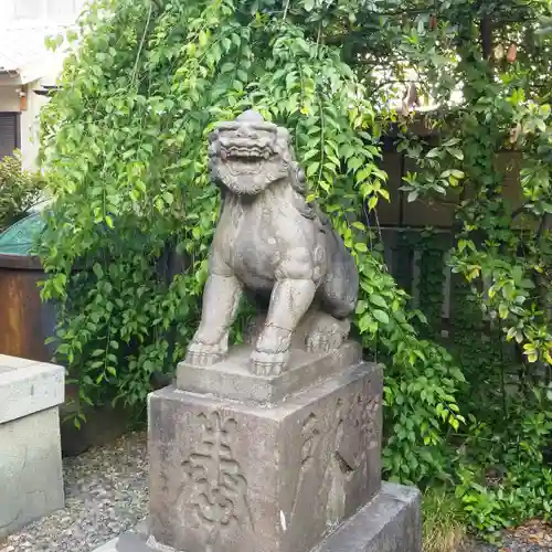 筑土八幡神社の狛犬