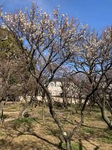 谷保天満宮(東京都)