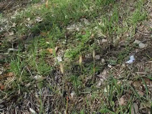 神明神社(千葉県)