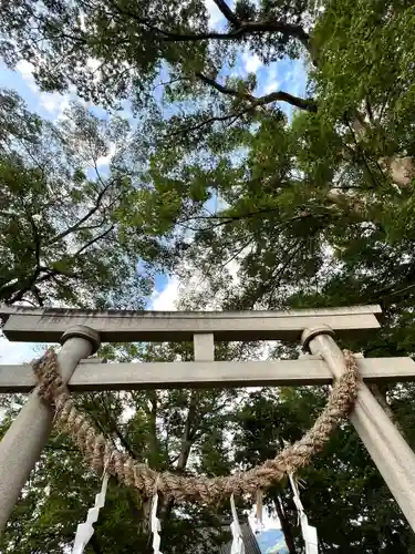 白鳥神社の鳥居