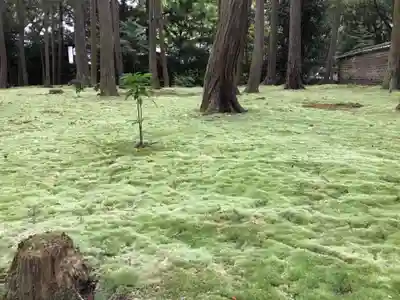 唐招提寺(奈良県)