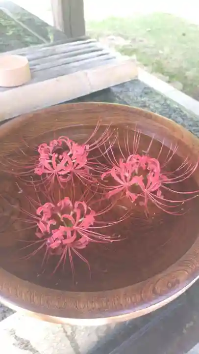 横浜 西方寺(神奈川県)