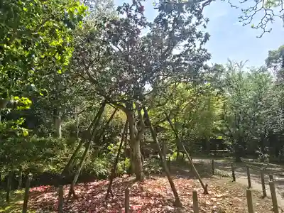 白毫寺(奈良県)