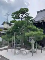 光徳寺(滋賀県)