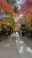 宇治上神社の周辺