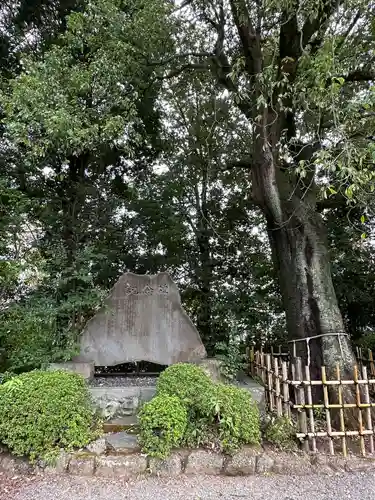 落合白山神社(東京都)