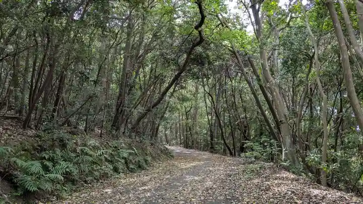 大尾神社の自然
