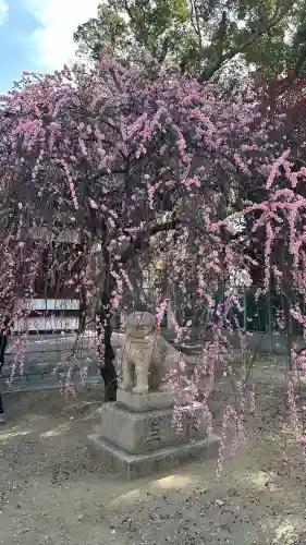 屯倉神社の{uncategorized: "未分類", other: "その他", undefined: "問題あり", building: "その他建物", grave: "お墓", sacred_gate: "鳥居", guardian: "狛犬", statue: "像", buddha: "仏像", history: "歴史", nature: "自然", garden: "庭園", animal: "動物", pagoda: "塔", temizu: "手水舎", mountain_gate: "山門・神門", sanctuary: "本殿・本堂", subordinate: "末社・摂社", art: "芸術", scenery: "景色", jizo: "地蔵", ema: "絵馬", goshuin: "御朱印", omikuji: "おみくじ", items: "授与品その他", amulet: "お守り", goshuincho: "御朱印帳", eats: "食事", festival: "お祭り", votive_dance: "神楽", shichigosan: "七五三参", wedding: "結婚式", experience: "体験その他", initially: "初詣", around: "周辺", anti_infection: "感染症対策"}