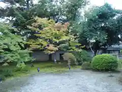 隨心院（随心院）(京都府)