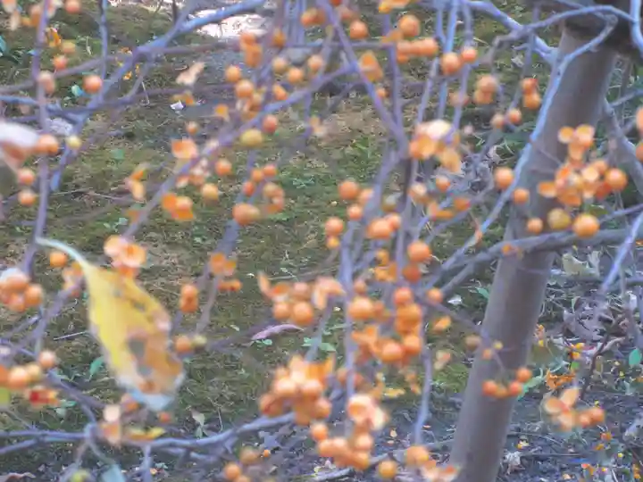 大巧寺(神奈川県)