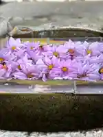 立志神社(滋賀県)