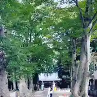 八坂神社のその他建物