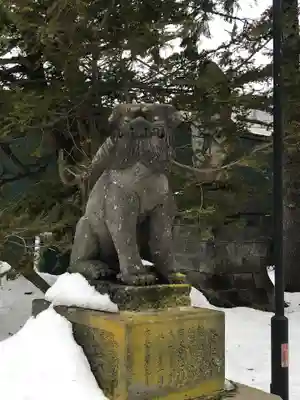 信濃神社の狛犬