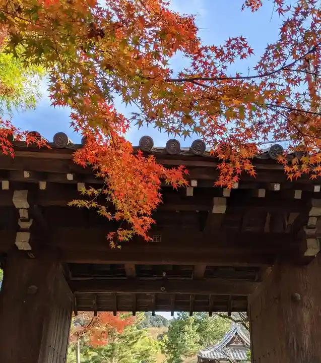 高台寺(高台寿聖禅寺・高臺寺)の山門・神門