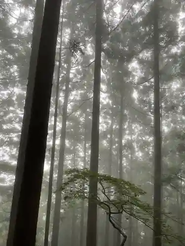 大山阿夫利神社本社の自然