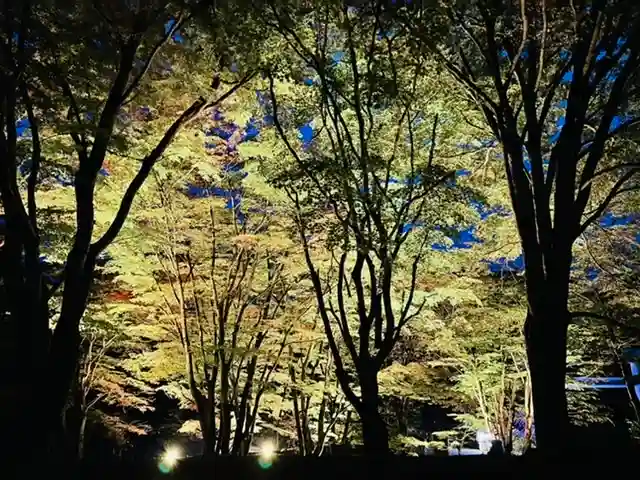 土津神社|こどもと出世の神さまの自然
