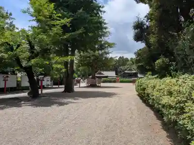 鷲宮神社(埼玉県)