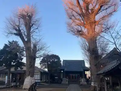 諏訪神社(東京都)