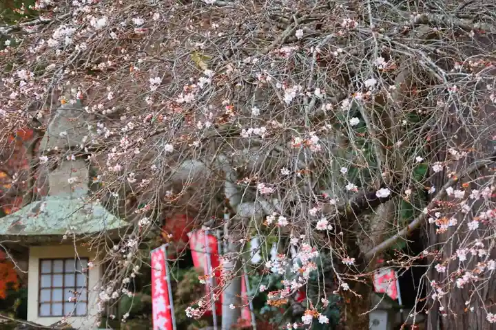 鹿島大神宮(福島県)