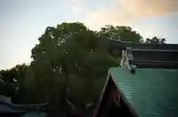 十日恵比須神社(福岡県)