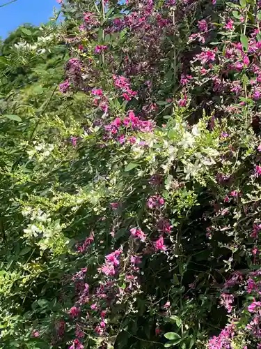 国宝 大法寺の自然