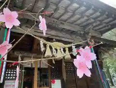 滑川神社 - 仕事と子どもの守り神の本殿