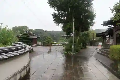 種間寺(高知県)