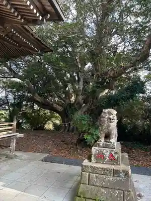 遠見岬神社(千葉県)