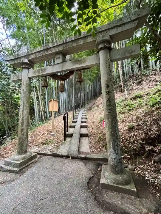 神龍八大龍王神社(熊本県)