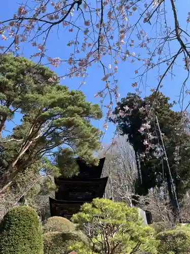 国宝 大法寺(長野県)