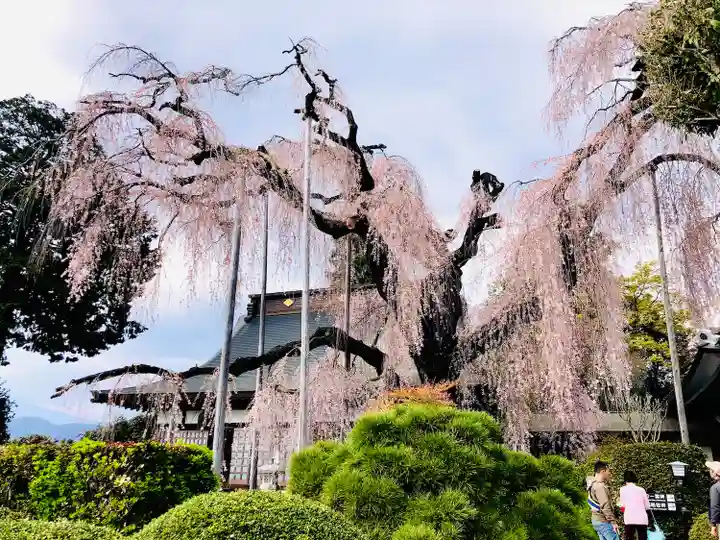 慈雲寺(山梨県)