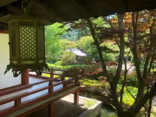 久安寺の庭園