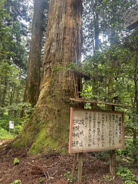 花園神社(茨城県)