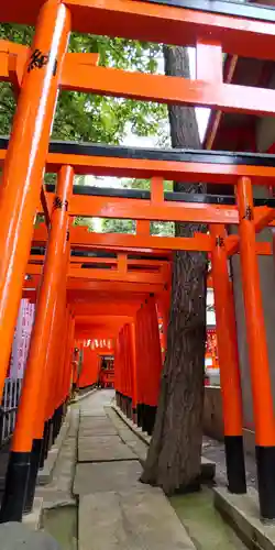 阿部野神社の鳥居