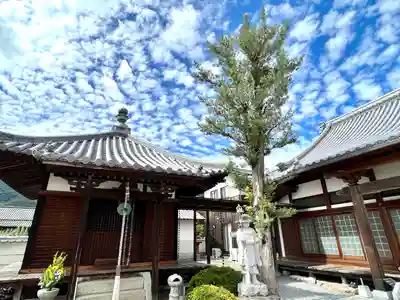 徳成寺(香川県)