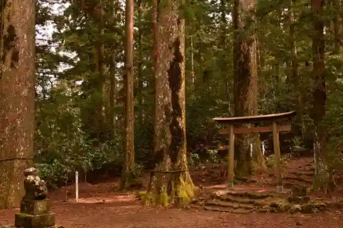 杉原神社(高知県)