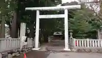 阿伎留神社の鳥居