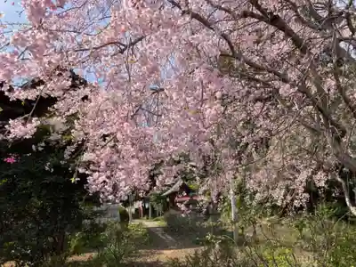 境香取神社(茨城県)