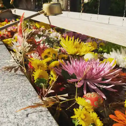 豊景神社の手水