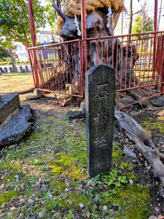 神明大神(中丸子神社)(神奈川県)