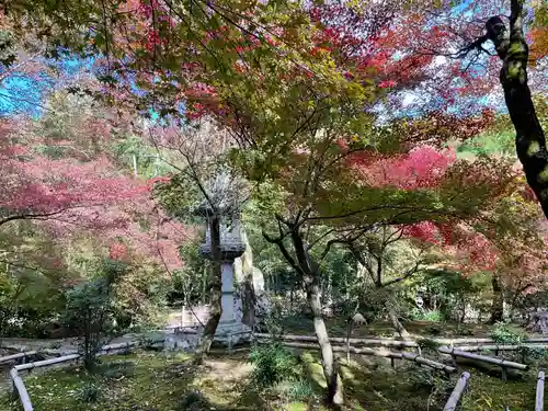 直指庵(京都府)