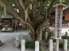 秩父神社の自然